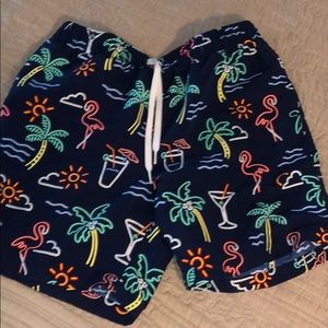 Chubbies swim trunks